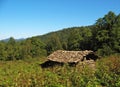 Primitive wood made cottage in forest