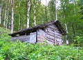 Primitive wood made cottage in forest