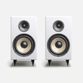 Primitivist Style White Speakers With Gothic Revival Influence