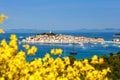 Primosten town on a peninsula vacation in the Mediterranean Sea in PrimoÃÂ¡ten, Croatia