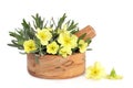 Primrose Flowers and Lavender Herb Leaves