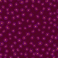 Primula purple violet primrose flowers textile pattern. Spring or summer fabric floral ornament.