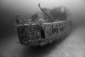 Prince Albert wreck in black and white