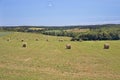 Prince Edward Island Countryside Royalty Free Stock Photo