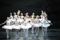 The prince and Ojta was in the middle of the swans protection-The last scene of Swan Lake-ballet Swan Lake Royalty Free Stock Photo