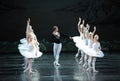 The prince in search of the white swan of his love-ballet Swan Lake