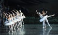 The prince and the Swan love story-ballet Swan Lake