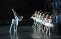 The prince and the Swan love story-ballet Swan Lake