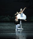 The prince and the Swan love story-The second act evening Lakeside-ballet Swan Lake