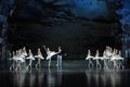 The prince swore to love Ojta-ballet Swan Lake