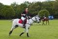 Prince William in attendance for polo match.