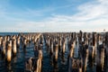 Princes Pier - Melbourne Royalty Free Stock Photo