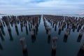 Princes Pier old pylons, Melbourne, Australia