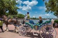 Princess Anna riding a horse drawn carriage at Epcot 60 Royalty Free Stock Photo