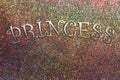 Princess in bold chrome text on a rainbow glitter sparkle abstract background