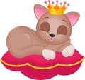 Princess cat on pillow