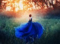 Princess, with a elegant hairstyle, runs through a forest meadow to meet a fiery sunset with a haze. A luxurious blue