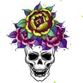 Princess Emblem Of A Skull In A Crown Surrounded By Roses.tattoo, Isolated On A White Background. Sketch Of Traditional Old School