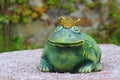 Princess Frog Royalty Free Stock Photo