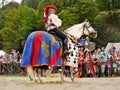 Princess on Horseback, Knights Medieval Festival