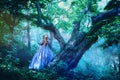 Princess in magic forest Royalty Free Stock Photo