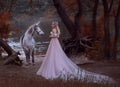 The princess met a unicorn in the forest. The blonde girl with a gentle make-up, is dressed in a long vintage dress with Royalty Free Stock Photo