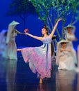 Princess `Ning`-The first act: the mulberry garden-Epic dance drama `Silk Princess` Royalty Free Stock Photo
