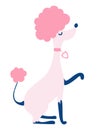 Princess Poodle dog. ÃÂ¡ute pink poodle gives a paw. Childish illustration. Smart circus pet. Cartoon flat vector illustration