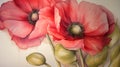 Princess Poppies: A Delicate Porcelain Illustration of Pink Bloo