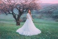 Princess stands on a hilltop at dawn. Luxurious vintage white dress with lace. Royalty Free Stock Photo