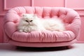 Princess white cat sleeping on pink sofa, AI generated Royalty Free Stock Photo