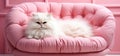 Princess white cat sleeping on pink sofa, AI generated Royalty Free Stock Photo