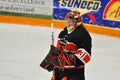 Princeton Goalie Sean Bonar in NCAA Hockey Game Royalty Free Stock Photo