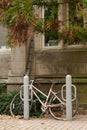 Princeton University Bicycle