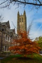 PRINCETON, NJ USA - NOVENBER 12, 2019: eneral view of Holder Hall building, exterior facade, Princeton University, Princeton, New