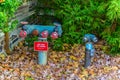 PRINCETON, USA - NOVEMBER 12, 2019: Blue Fire Hydrant at Princeton University, New Jersey USA