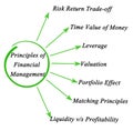 Principles of Financial Management