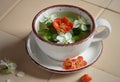 pring floral herbal mint tea with flower buds of apple tree and quince flowers , vintage retro composition