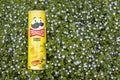 Pringles chips in yellow packaging were filmed in a private courtyard on April 19, 2023 in Ukraine on a lawn of spring blue