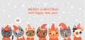 Christmas card with cute cats. New Year`s poster Royalty Free Stock Photo