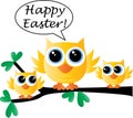 Happy easter a cute little yellow bird family Royalty Free Stock Photo