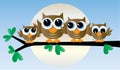 A adorable owl family sitting in a tree Royalty Free Stock Photo