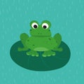 Green frog on the green leaf. Funny animal for children. Cartoon character.