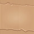 Vector cardboard texture with space for your text. - Vector