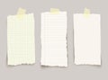 Vector different torn note papers with adhesive tape. - Illustration