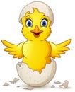 Cartoon happy little chick with egg