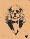 Portrait of Cavalier King Charles Spaniel in sui, hand-drawn illustration