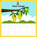 Illustrator of worksheet three mango Royalty Free Stock Photo