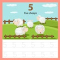 Illustrator of worksheet five sheep