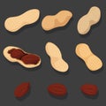 Vector set of peanuts Royalty Free Stock Photo